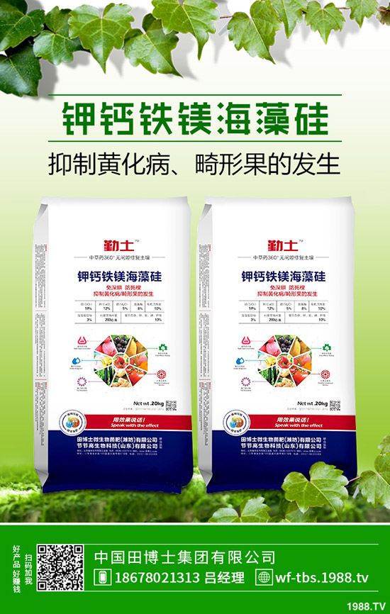 �ﶬ�����S����ηNֲ���ﶬ�S�ϵķNֲ����������������