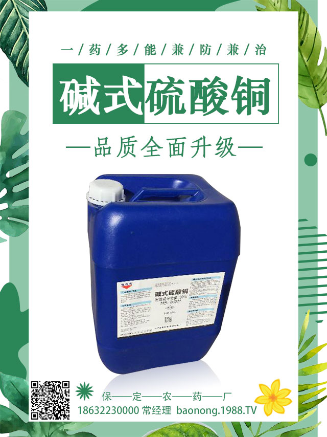 ��������������ô�k�����Ӽ޽ӿɱ�����������