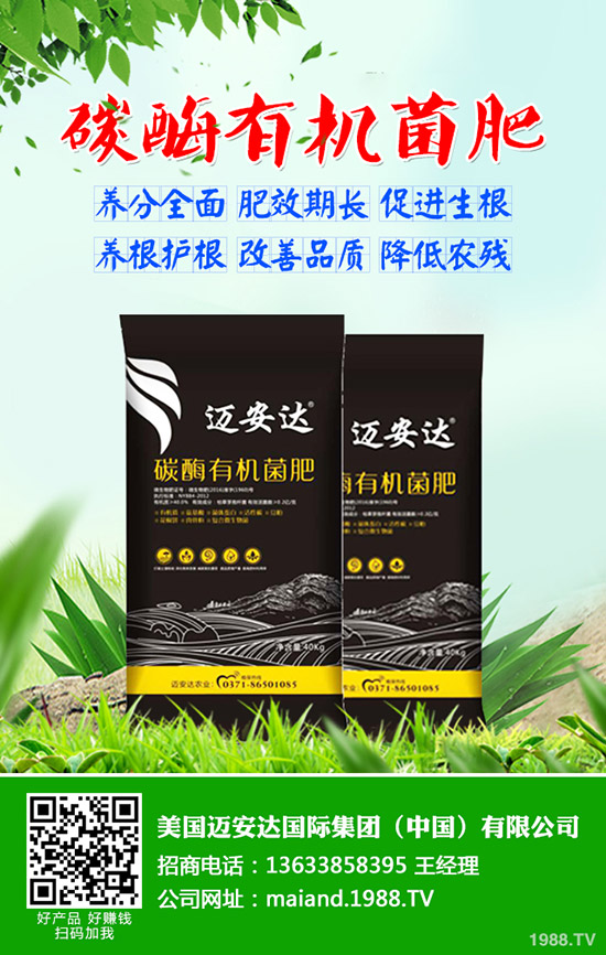 ����ʲô�r��N���������N��ע����Щ���}��