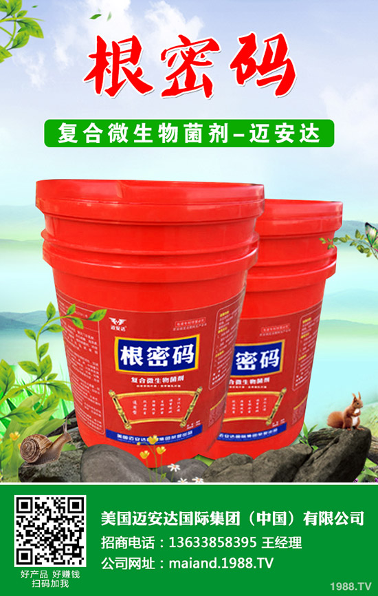 �����Jʲô�r��Nֲ�������J�Nֲ���g(sh��)��