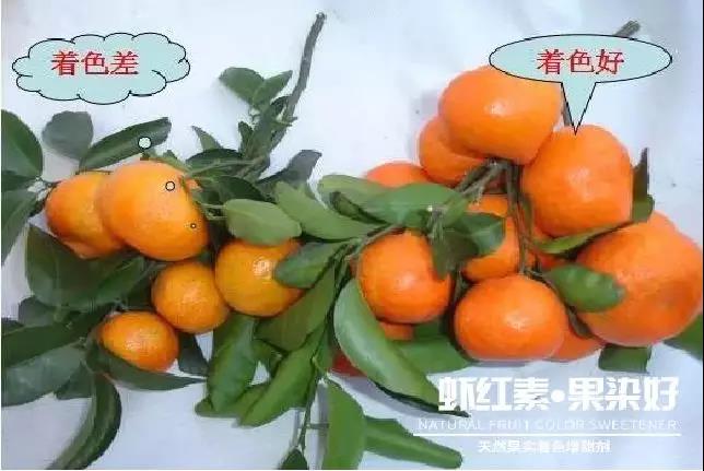 天然果實著色增甜劑——蝦紅素●果染好!