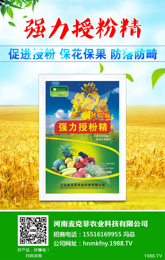 �������Щ�I�B(y��ng)�rֵ���Խ������Щ��̎����˵Ĺ�Ч�c����