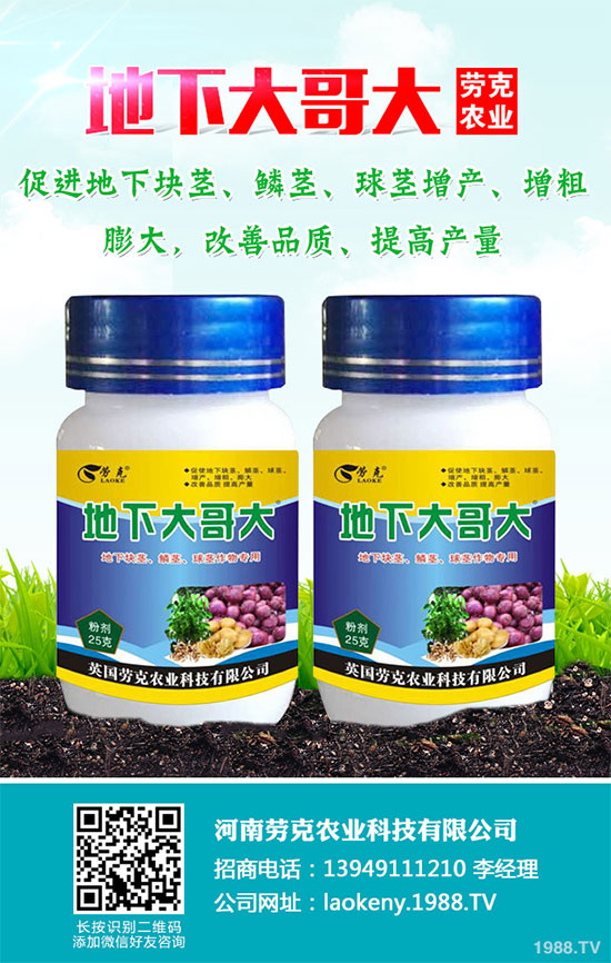 �������Щ�I�B(y��ng)�rֵ���Խ������Щ��̎����˵Ĺ�Ч�c����