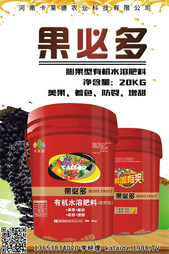 芥菜該怎么吃?常見芥菜吃法及注意事項