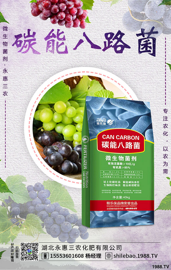 �������ʩ������Ҭ��ʩ�ʕr(sh��)������Ҭ�˵�ʩ���������g(sh��)���˽�ô��