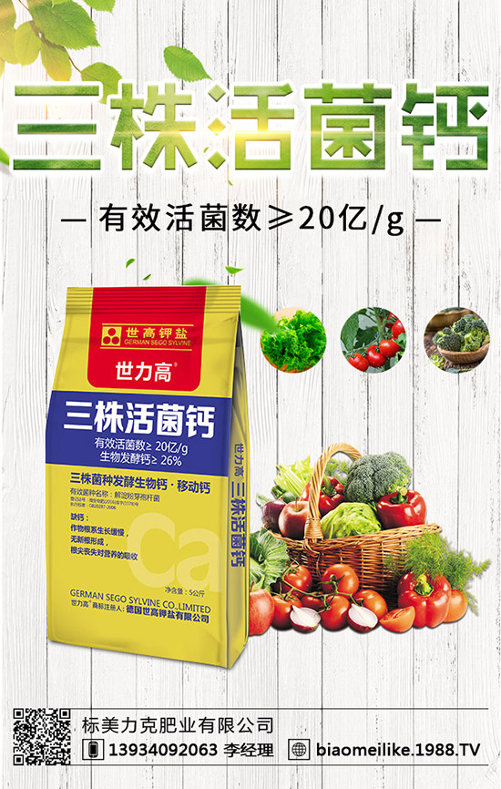 ���S��ʲô�r(sh��)������������S�������ע�����(xi��ng)��