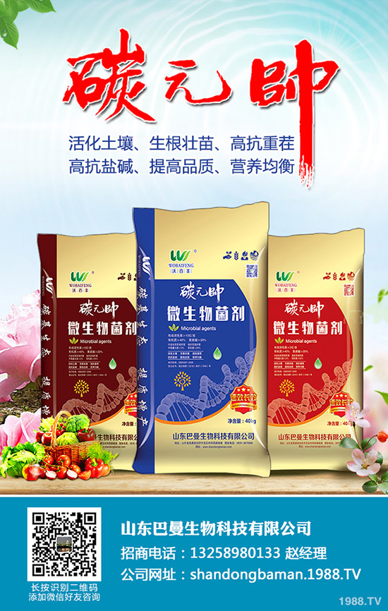 中秋假期后!最新磷酸二銨價(jià)格行情走勢(shì)分析2019-9-16