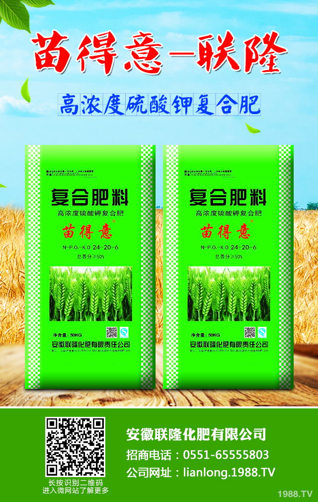 С����ô����Ч������С�����������g����