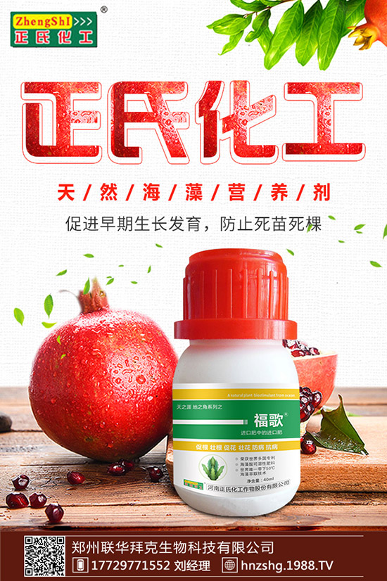 ���y����ʲô���������y���Ĺ�Ч�cʳ�ý��ɣ�