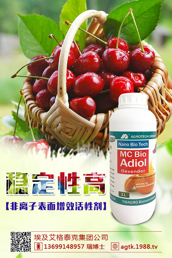 金銀花怎樣種好,金銀花種植要點!