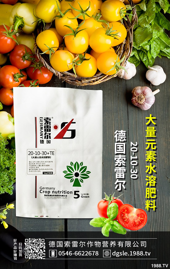     ����⛷������������S������rһ�[2019-9-18