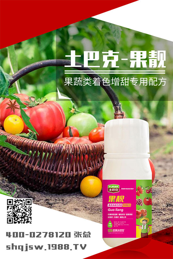 �ϹϷNֲ�r�g��ʲô�r�����ϹϵĲ��N���������༼�g(sh��)!