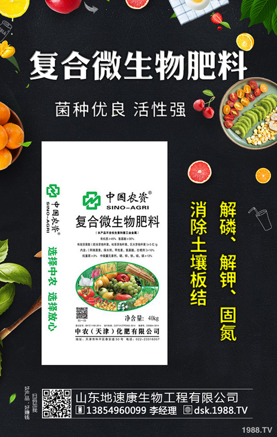 秋芹菜什么時間定植合適?秋芹菜種植時間及種植技術(shù)!