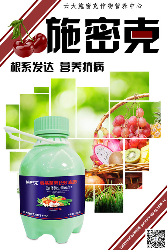 大蔥霜霉病危害巨大,到底是如何引起的?大蔥霜霉病防治措施