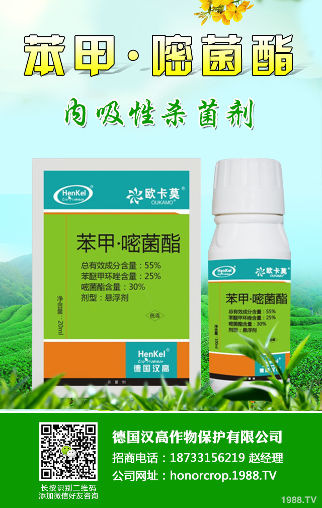 �����J������ô�k�������J�Ĵ󲡺����μ���