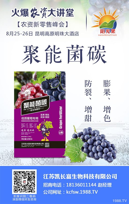 盆栽豌豆該怎么種?盆栽豌豆種植方法及注意事項(xiàng)