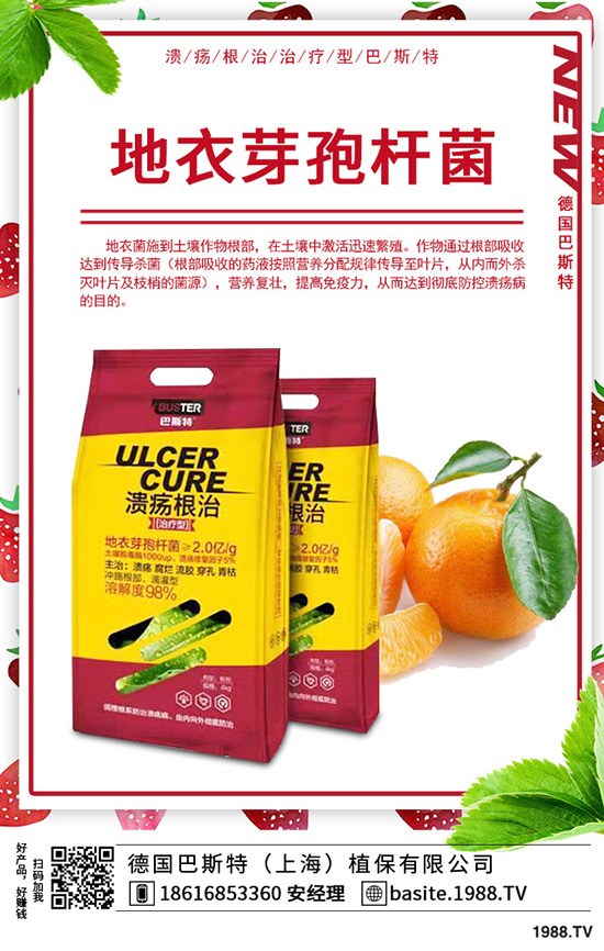 �t��̦��ô�N���t��̦�ķNֲ�r�g���Nֲ������