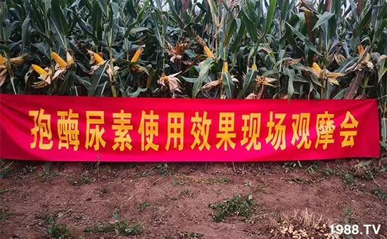 �ٿ���С�����a(ch��n)1471�����pø����ȫ������(j��)�����߮a(ch��n)������(d��ng)֮�o(w��)����