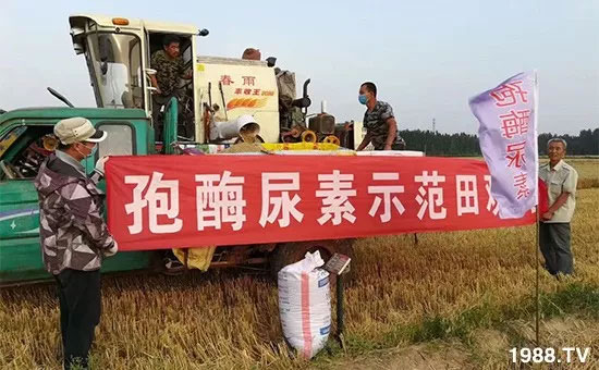 �ٿ���С�����a(ch��n)1471�����pø����ȫ������(j��)�����߮a(ch��n)������(d��ng)֮�o(w��)����