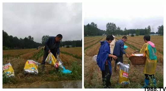 �ٿ���С�����a(ch��n)1471�����pø����ȫ������(j��)�����߮a(ch��n)������(d��ng)֮�o(w��)����