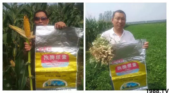 �ٿ���С�����a(ch��n)1471�����pø����ȫ������(j��)�����߮a(ch��n)������(d��ng)֮�o(w��)����