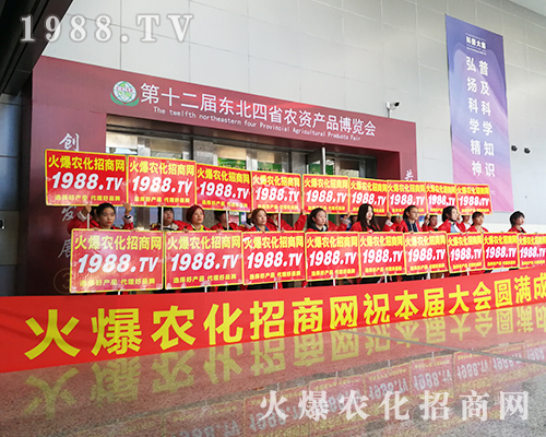 ��ʮ�����L��ֲ������1988.TV������ݿ�ǰ��(qi��ng)����