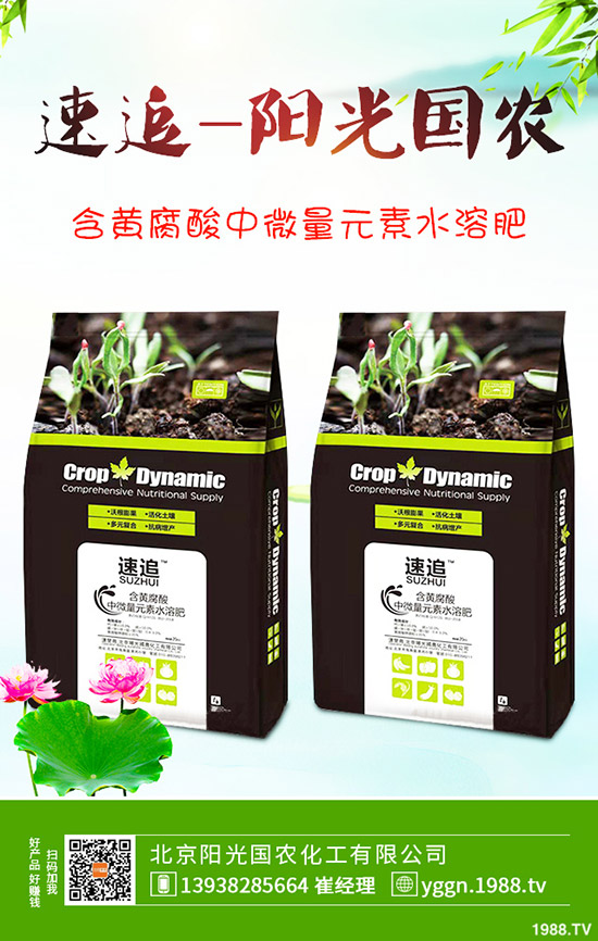     ���ո��؅^(q��)�����������S��(b��o)�r(ji��)һ�[��