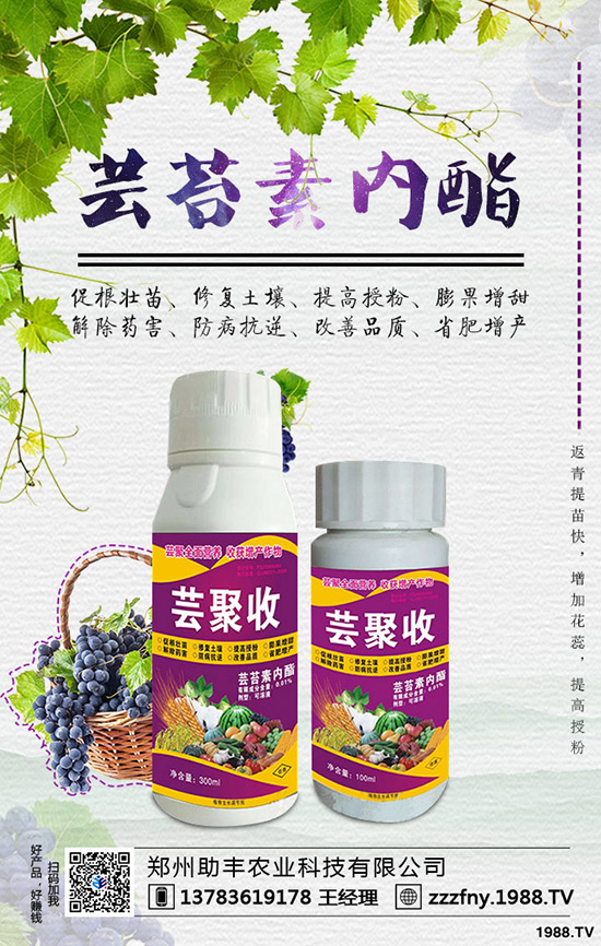 �J�������ժ�����J����ժ����ʲô��̎��