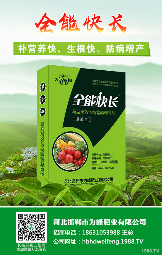 ����������Щ��̎������Ĺ�Ч���ü�ʳ�ý���