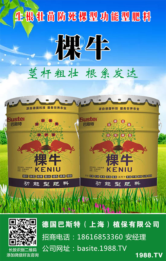 ���[���ʩ�������[�ƌW(xu��)������ʩ�ʷ�����