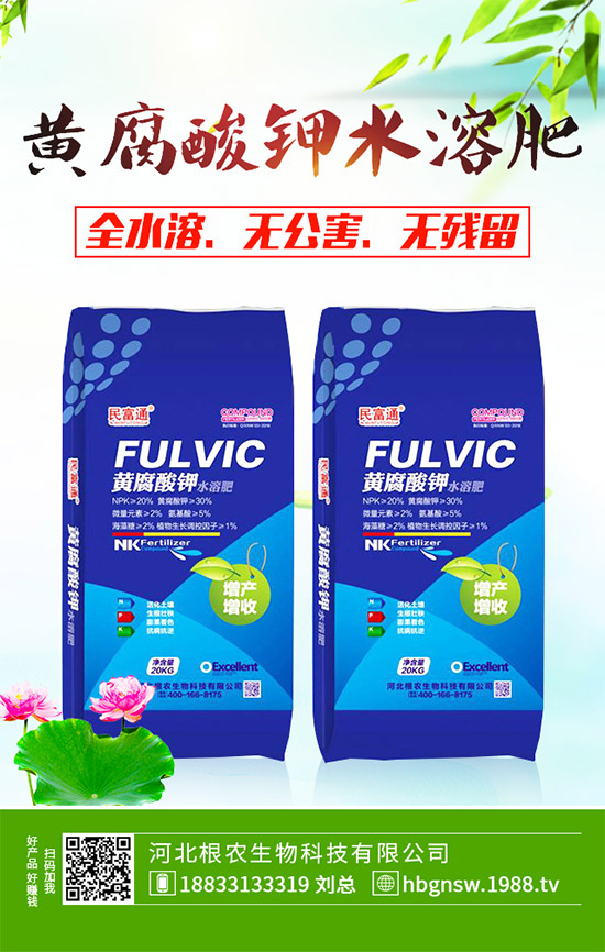 ����ԓ��ô��������ĠI�B(y��ng)�Է���ע�����