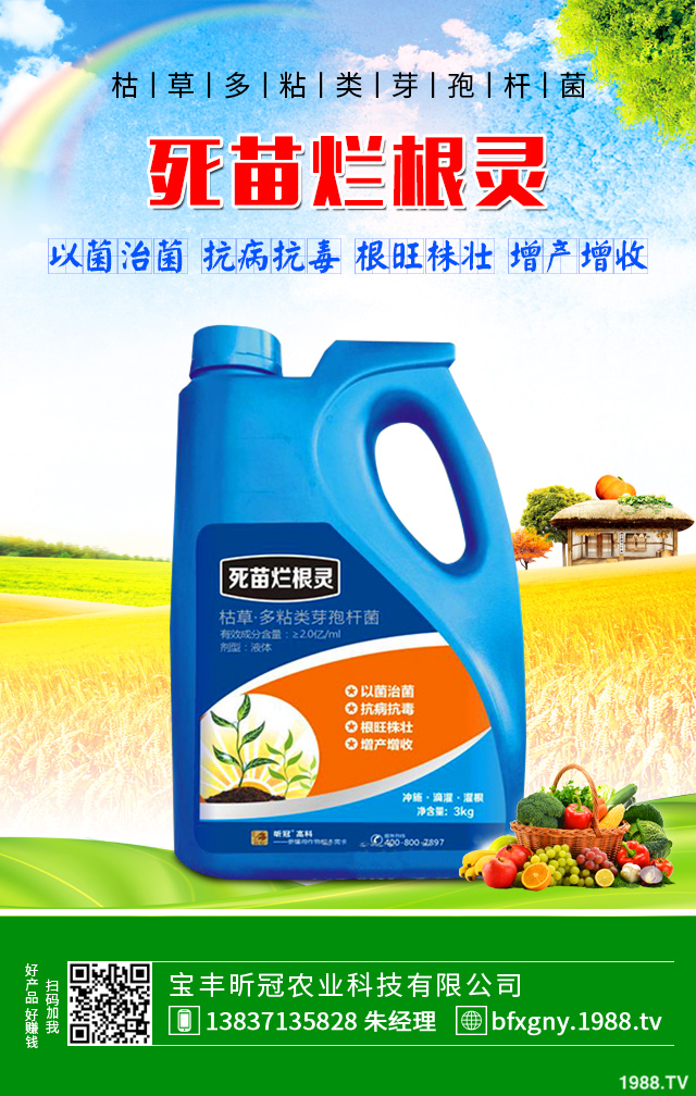 �۲˺��ĸ�����ô�������۲˺��ĸ���Ҫ���Y����