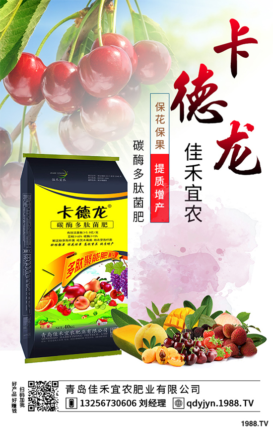 白菜不包心的原因?白菜結球包心期的管理要點