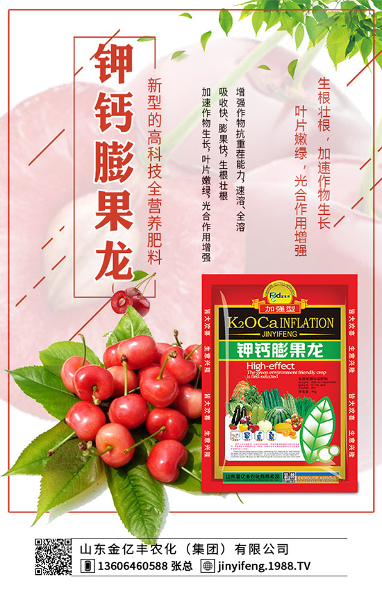 萵苣種植在我國有春茬與秋茬之分,分別使用不同的品種。秋茬品種在較高的溫度條件下,也能形成蓮座葉,然后長(zhǎng)出粗大的莖。那么,萵苣的品種有哪些?怎么種植才好呢?