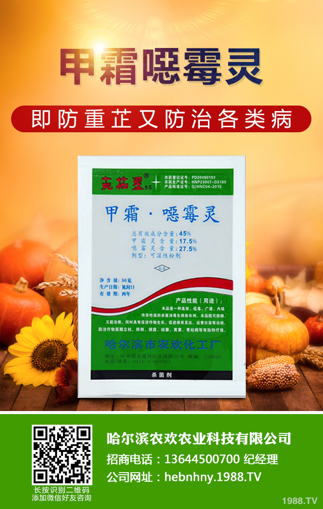 �����S�ϻ�ù����η����������S�ϻ�ù�����ؼ���