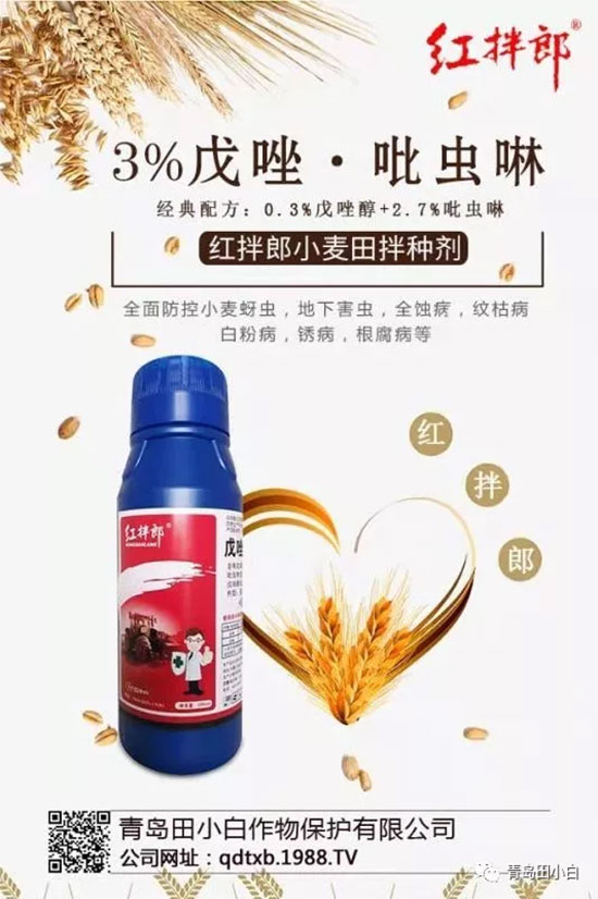 С����N���x�Ă�(g��)�ã�С����N���x�ü���