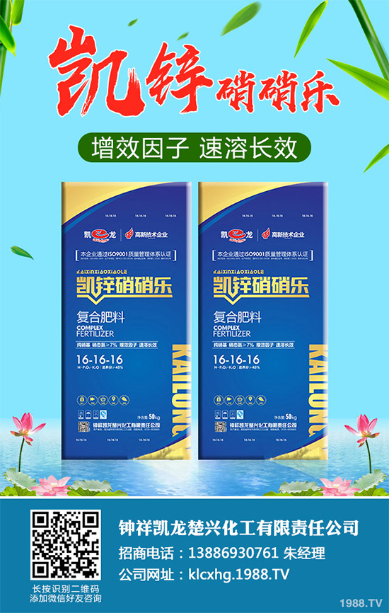     �n�ĺڰ߲�����ΰl(f��)����������ЩΣ�����n�ĺڰ߲����δ�ʩ