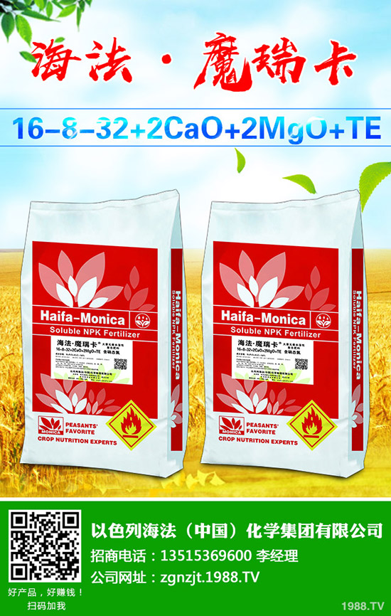     ���ڇ��ȶ��@�r���߄ݷ����������A�y2019-9-6