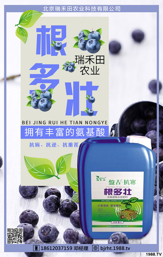 ���t��ʲô�r�g�Nֲ�����t���Nֲ����