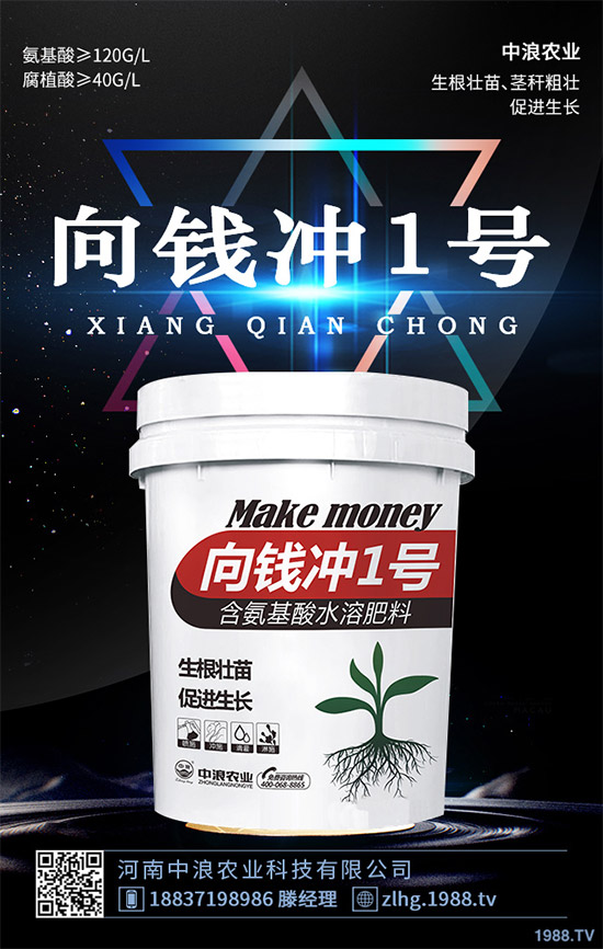 ¶�ؾ��Ĳ�ʲô�r��Nֲ��¶�ؾ��Ĳ˷Nֲ���g(sh��)��ȫ