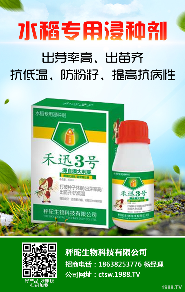 冬季香蕉怎么防凍？冬季香蕉防凍技巧