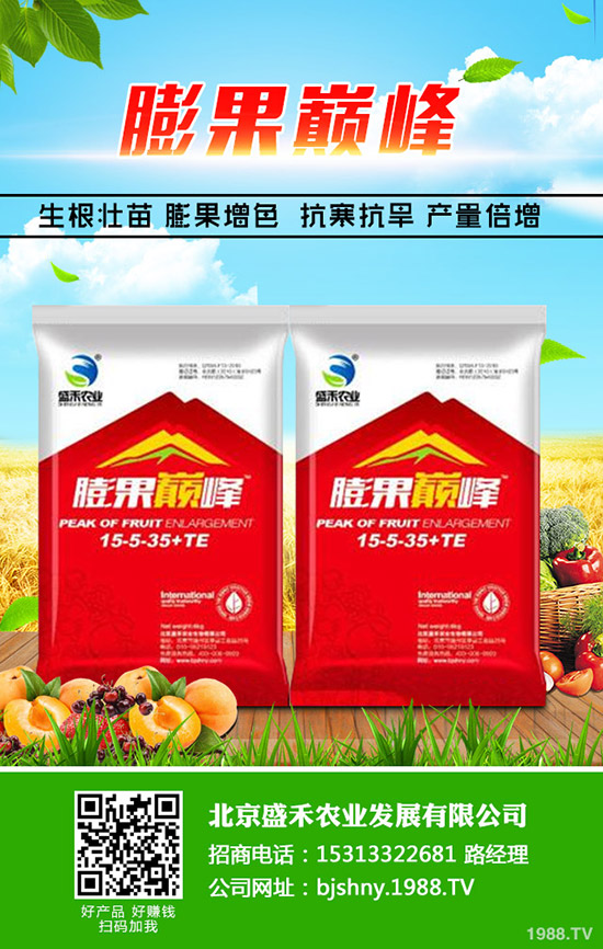 �Ͳ�ʲô����(ji��)�Nֲ���ͲˏķNֲ���S����Ҫ�����