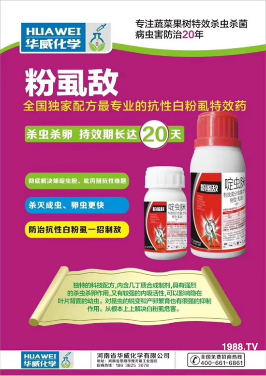 防治高抗性白粉虱——?dú)⑾x殺卵一招制敵