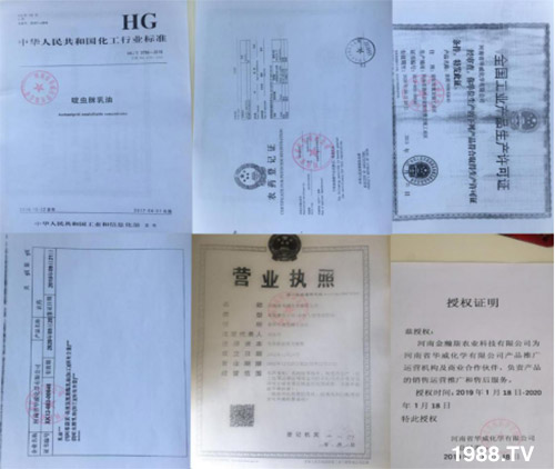 防治高抗性白粉虱——?dú)⑾x殺卵一招制敵