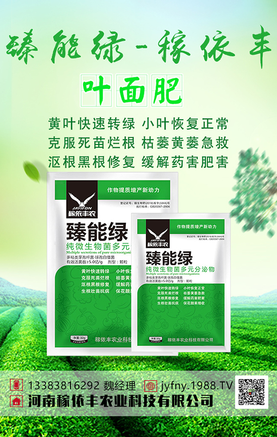 �n�Sʩ���з������n�S�Ĵ�ƌW(xu��)ʩ�ʼ��g(sh��)��