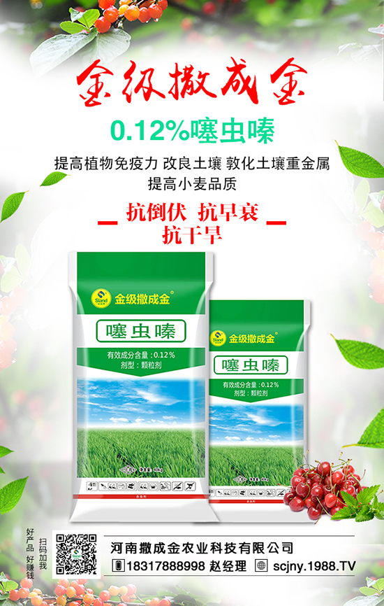 ��ʩ���з���������ʩ�����v��