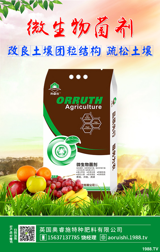 蘋(píng)果座果率低怎么辦?蘋(píng)果樹(shù)座果率低的原因及解決方案!