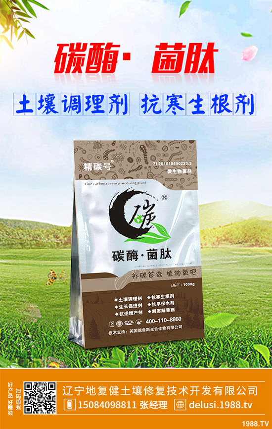 芹菜斑枯病有哪些危害癥狀?芹菜斑枯病的危害及防治