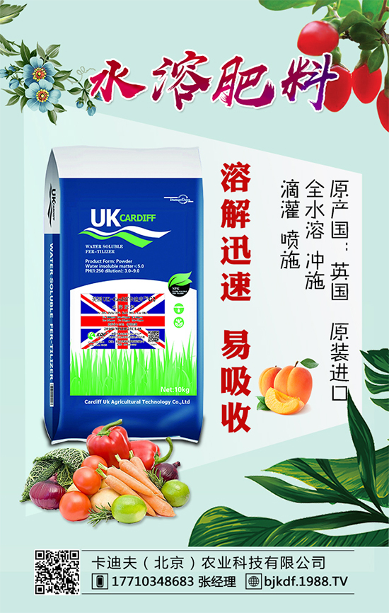 �S����Ҫ��ô�Nֲ���S���ˌ��h(hu��n)���l����Ҫ����