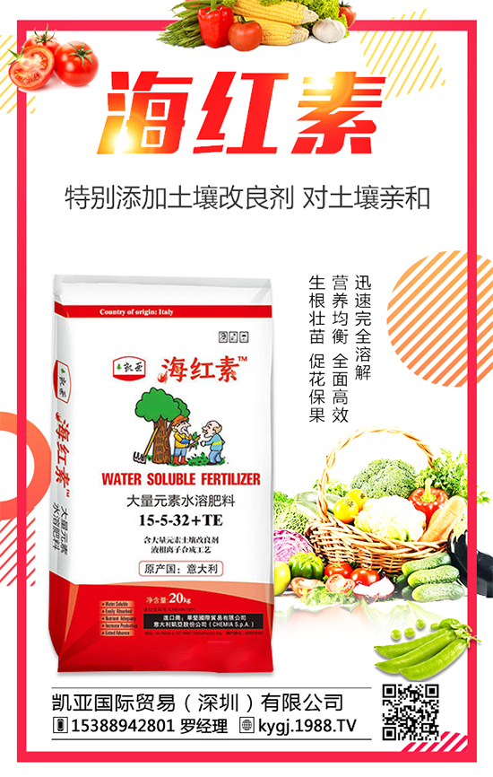 石榴樹幾年開花結(jié)果?石榴樹只開花不結(jié)果的原因!